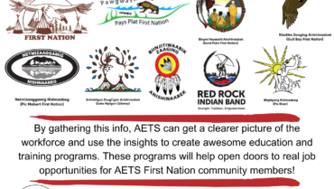 Labour Market Survey and Skills Inventory Questionnaire